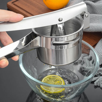 Ricer Stainless Steel Kitchen tool for Masked Potatoes with 3 Interchangeable Discs